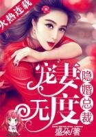 隐婚总裁宠妻无度