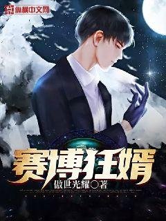 賽博狂婿